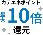 カテエネポイント 最大10倍還元