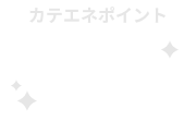 カテエネポイント 2倍還元
